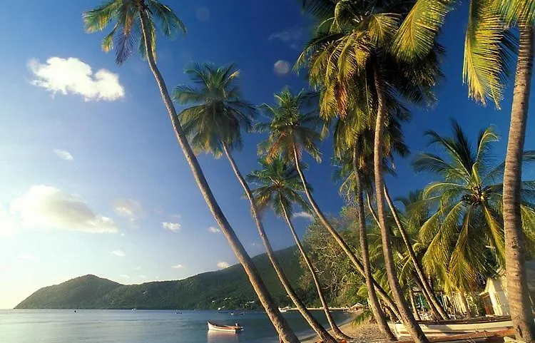 Val D'Or Bungalow Beach Sainte-Luce Martinique